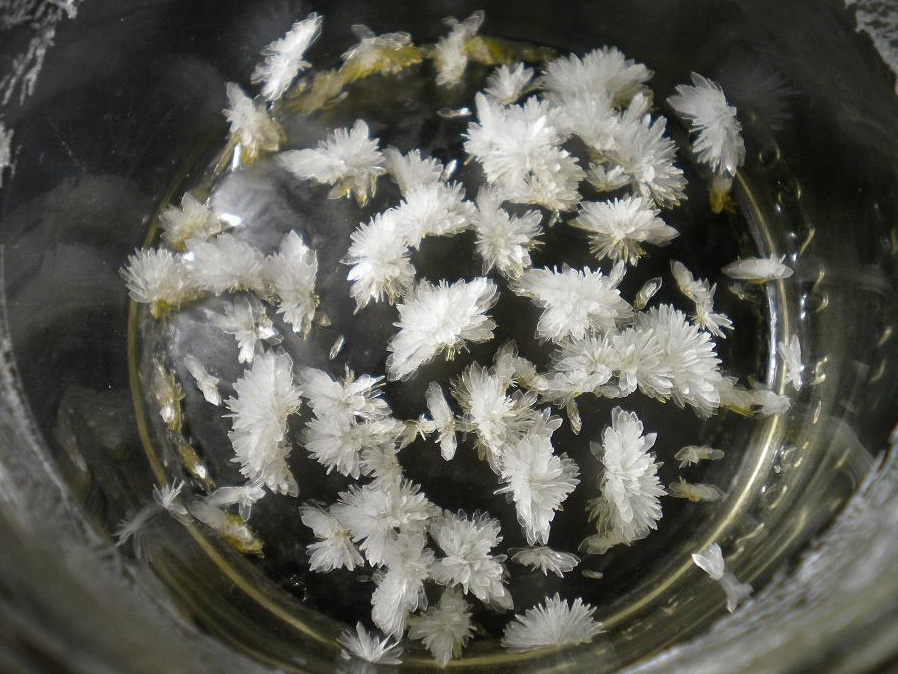 White needle-shaped DMT crystals gathered in the base of a glass jar