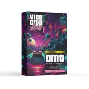 Vice City Labs DMT vape kit with 400mg cartridge and matched battery